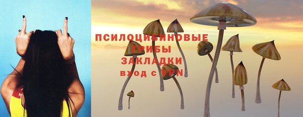 мескалин Алексин