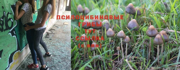 jwh Алзамай