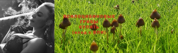 a pvp Алексеевка